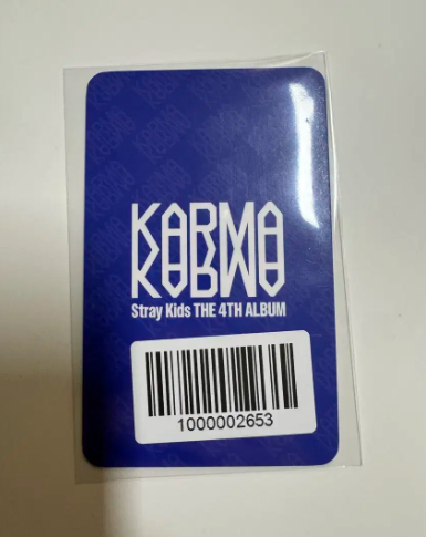 Stray Kids IN Fanshop неизданная фотокарточка с медведем ФОТОКАРТОЧКА