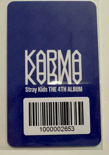 Невидана фотокартка ведмедика Stray Kids ХЬОНДЖІН від Fanshop