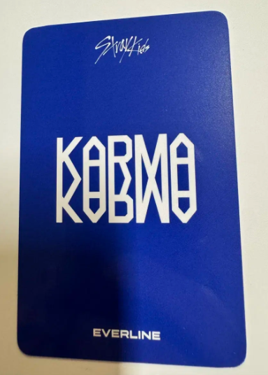 Stray Kids в фотокарточке Karma Everline