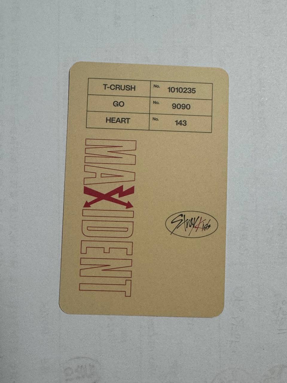 Stray Kids Changbin Maxident Photocard