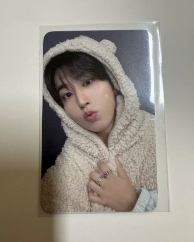 Невидана фотокартка ведмедика від Stray Kids HAN Fanshop
