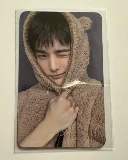 Невидана фотокартка ведмедика Stray Kids ХЬОНДЖІН від Fanshop