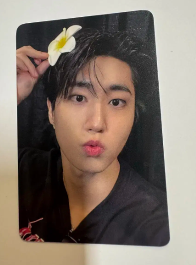 ФОТОКАРТКА Stray Kids HAN KARMA EVERLINE