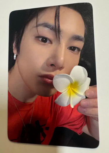 Stray Kids в фотокарточке Karma Everline