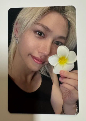 ФОТОКАРТКА КАРМИ ФЕЛІКСА ЕВЕРЛАЙНА Stray Kids