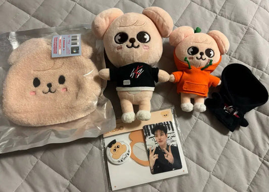 Stray Kids Seungmin SET poca+skzoo