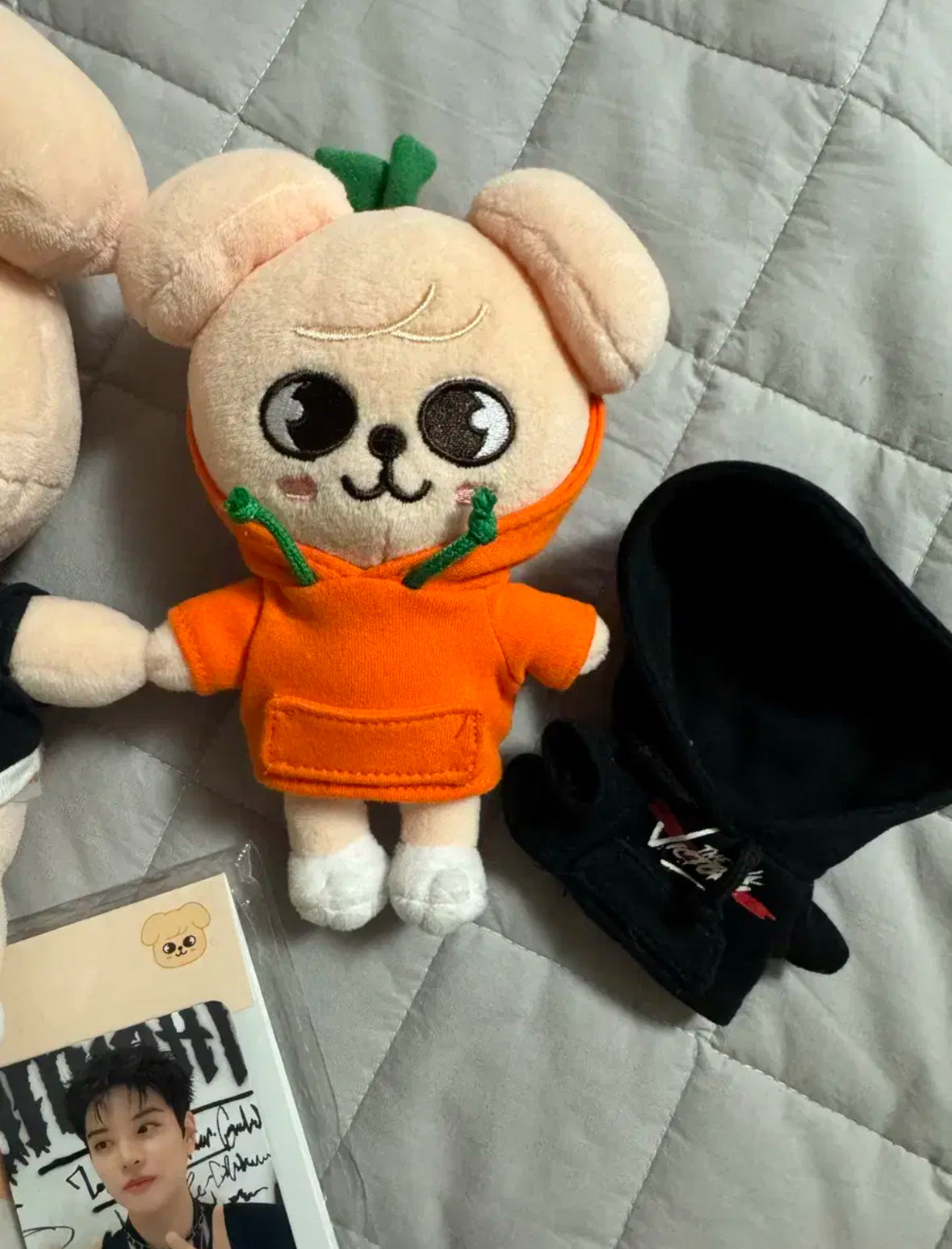 Stray Kids Seungmin SET poca+skzoo