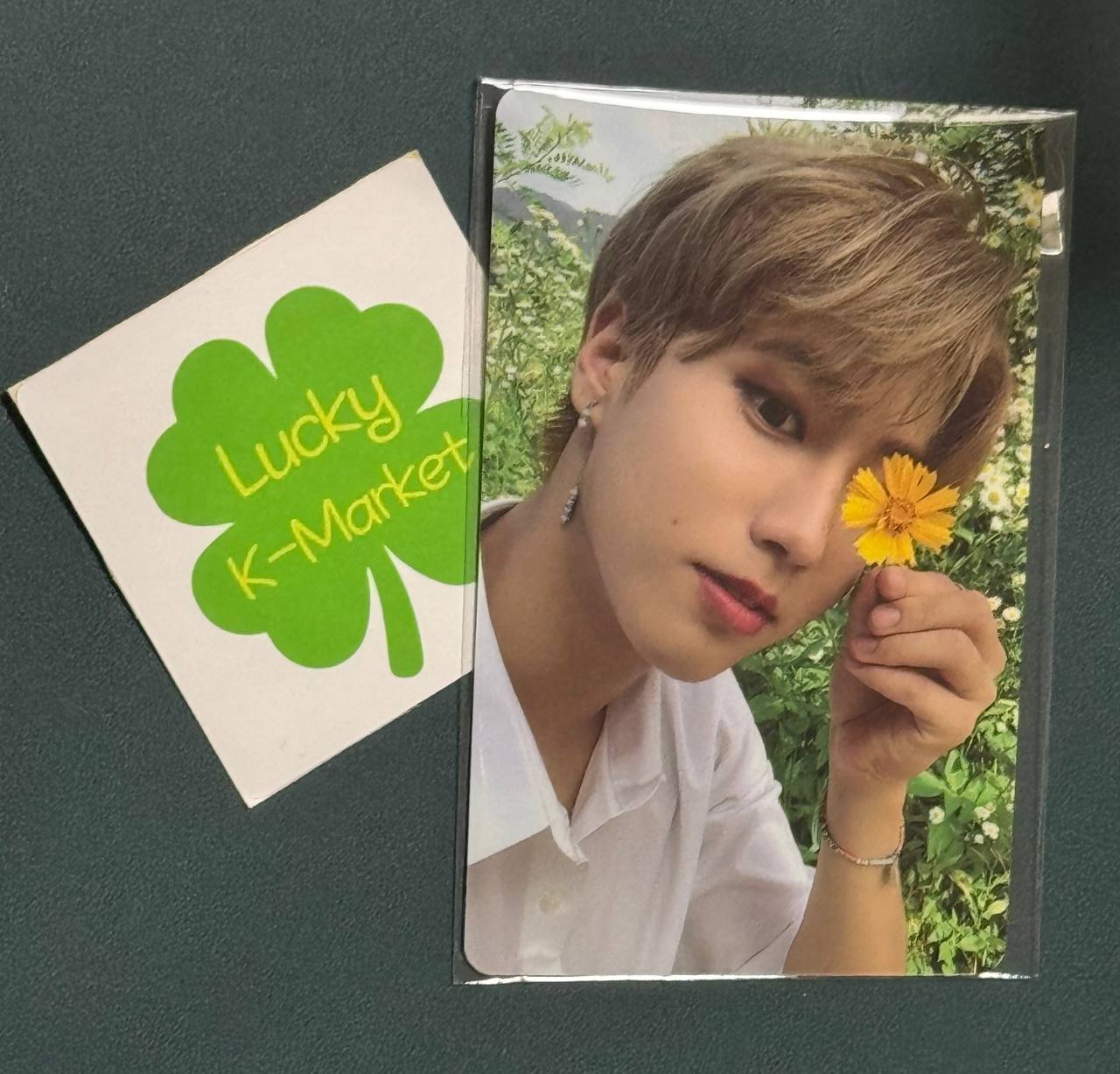 Stray Kids HAN NOEASY PHOTOCARD