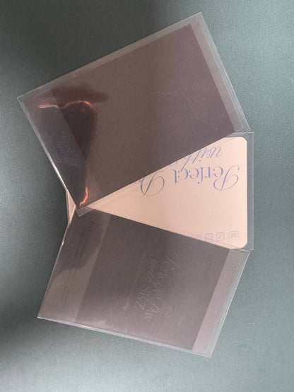 Stray Kids BANG CHAN Perfect Day Photocard