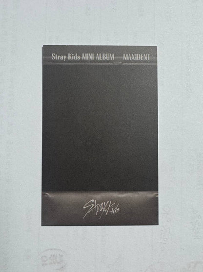 Stray Kids Leeknow Maxident Polaroid Photocard