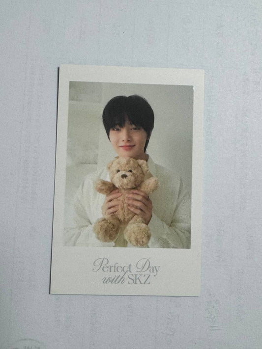 Stray Kids I.N Perfect day Polaroid Photocard