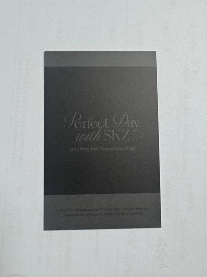 Stray Kids I.N Perfect day Polaroid Photocard