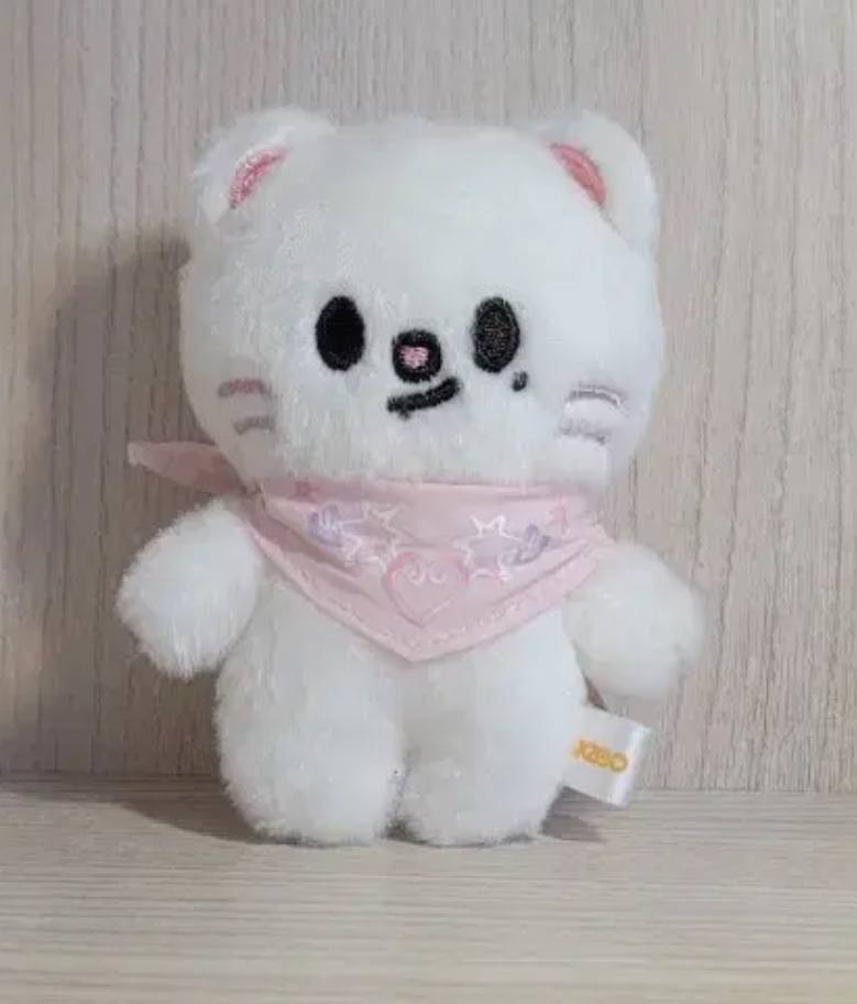 Старі діти ХЬОНДЖІН МІНІ SKZOO