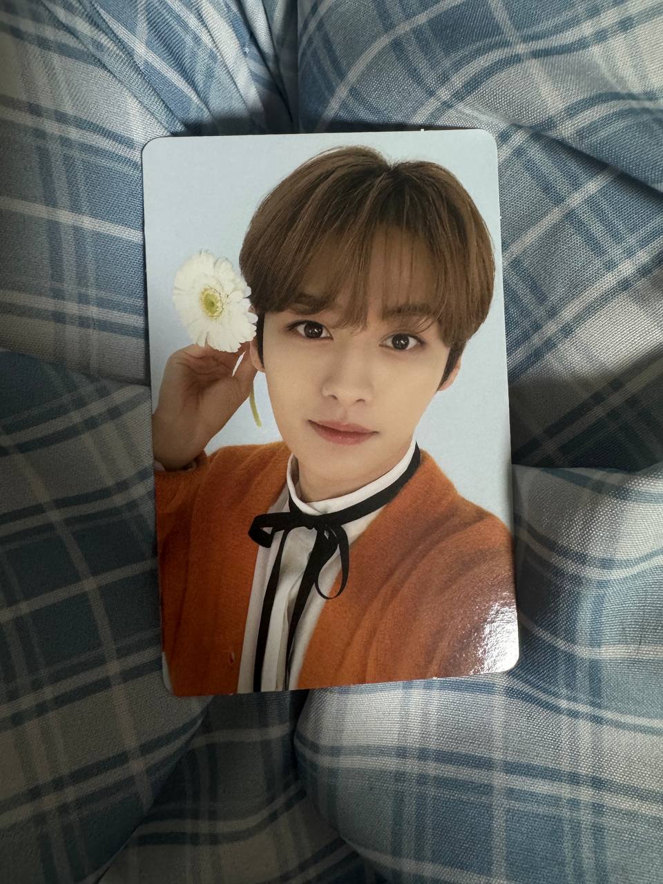 Stray Kids LEE KNOW NACIFIC DOUBLE Photocard