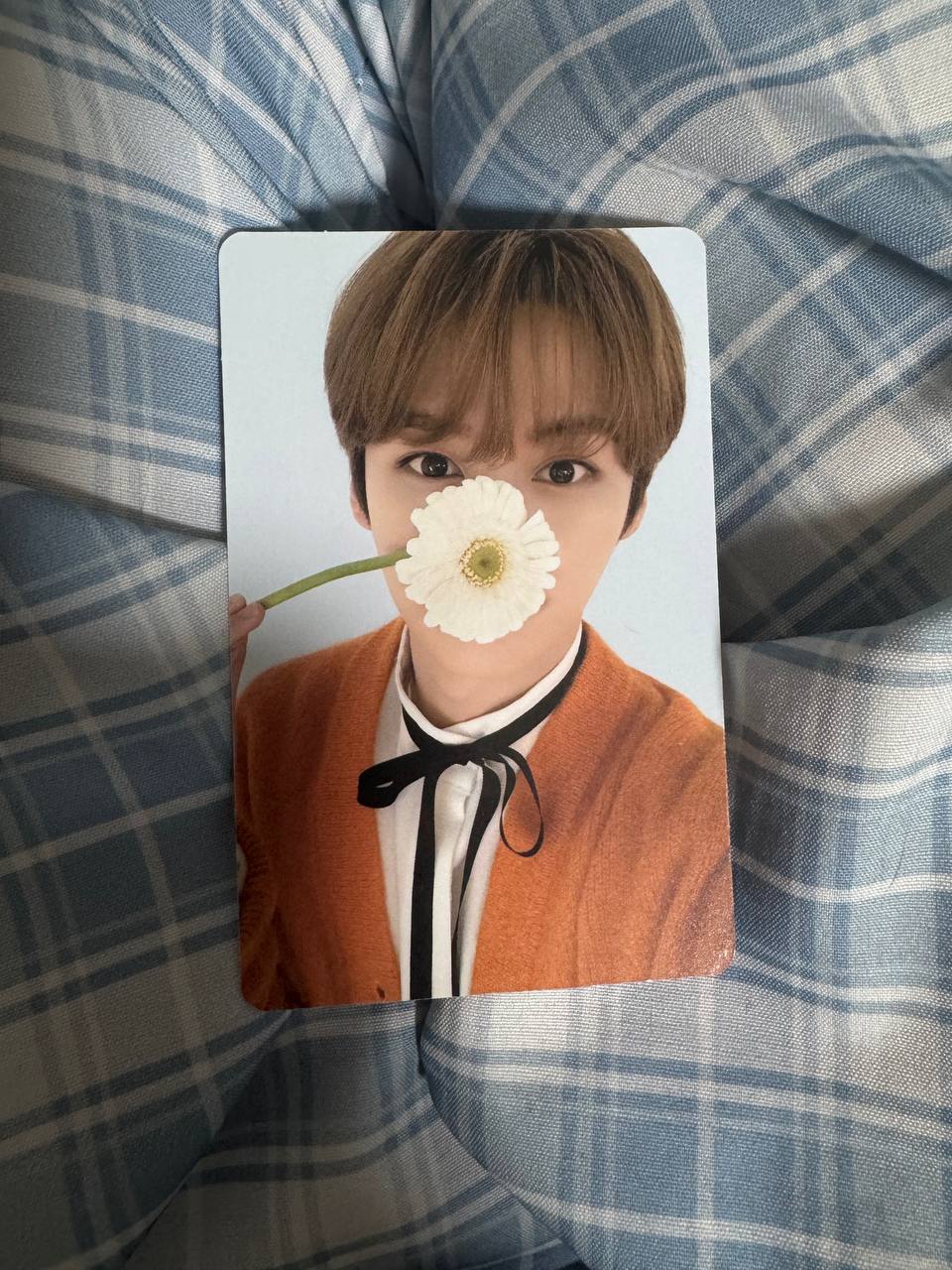 Stray Kids LEE KNOW NACIFIC DOUBLE Photocard