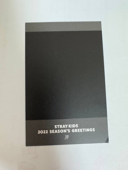 Stray Kids Seungmin 2022 greeting polaroid Photocard